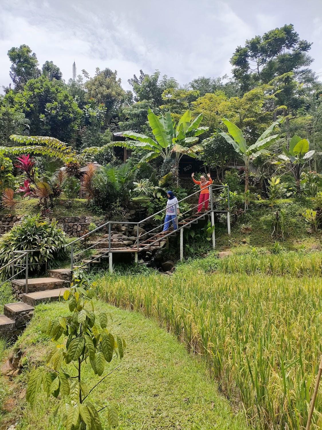 Cover Image for Tirta Arsanta