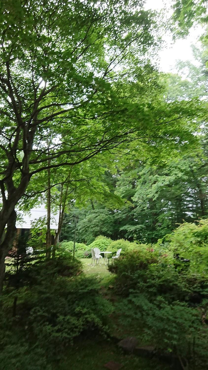 Cover Image for 軽井沢ノームの森