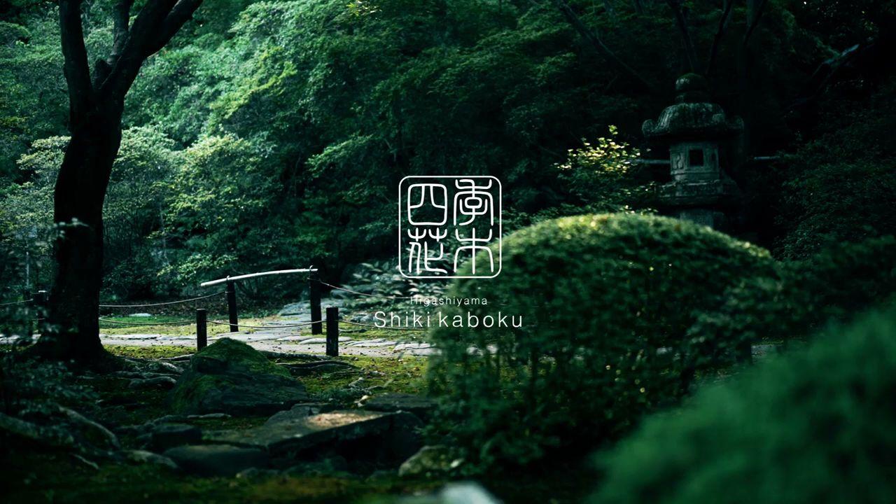 Cover Image for Higashiyama Shikikaboku