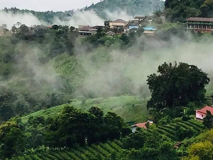 Cover Image for Baan See See Mountainview