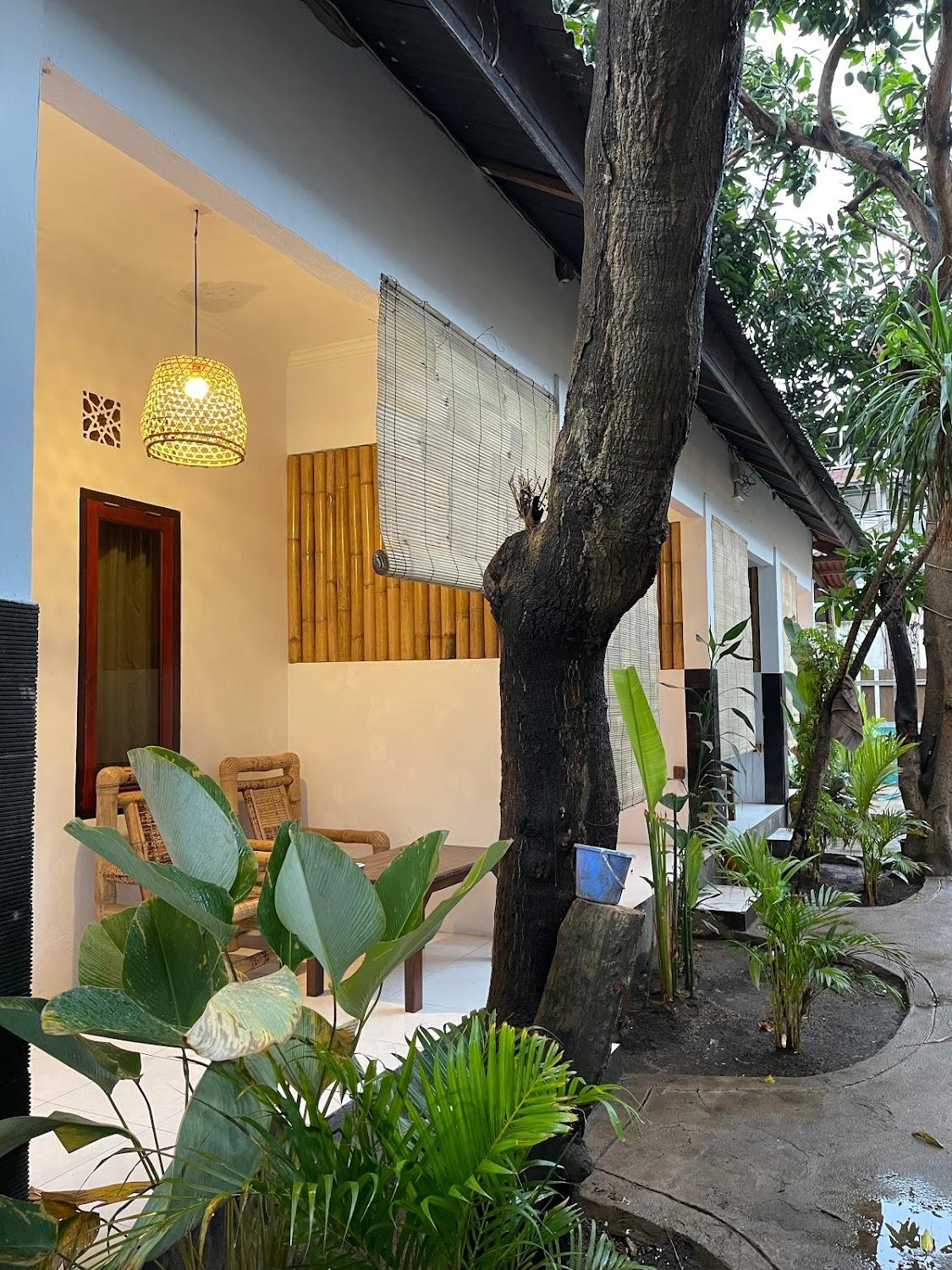 Cover Image for Mango tree house