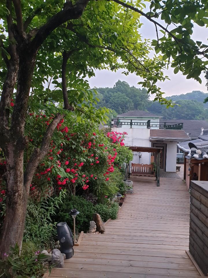 Cover Image for 전주그네