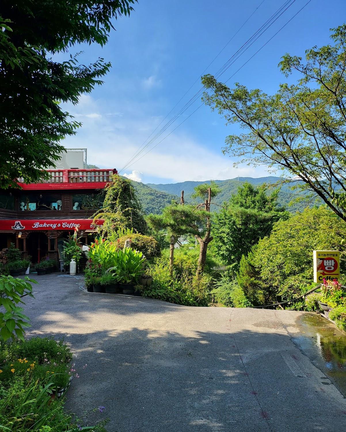 Cover Image for Beeohil