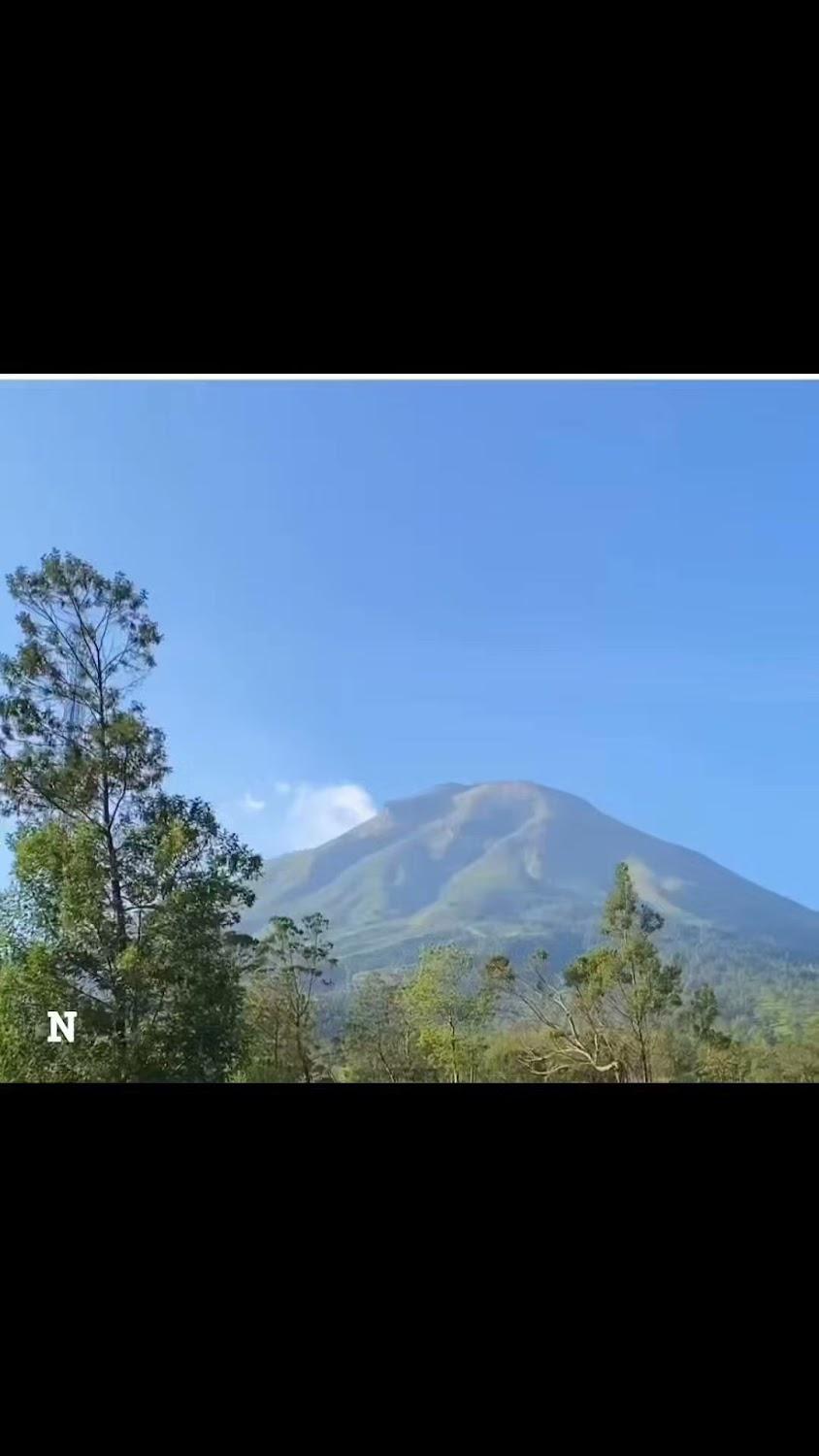 Cover Image for HOMESTAY NGASO DALEM