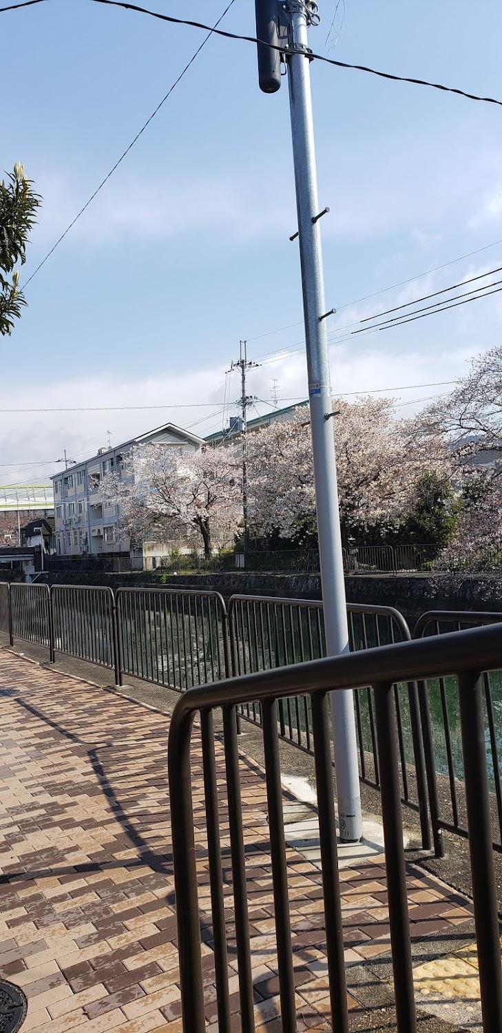 Cover Image for Tai kyoto GH