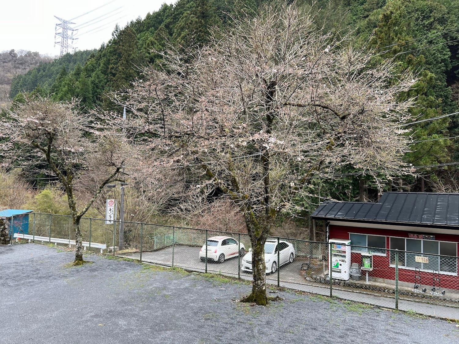 Cover Image for Seitoen Camping Ground