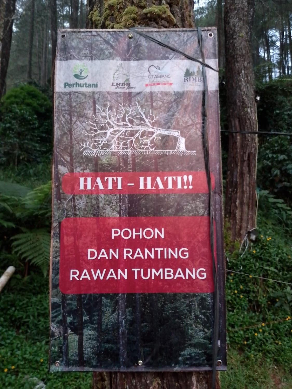 Cover Image for Kampung Rimba by Anrha
