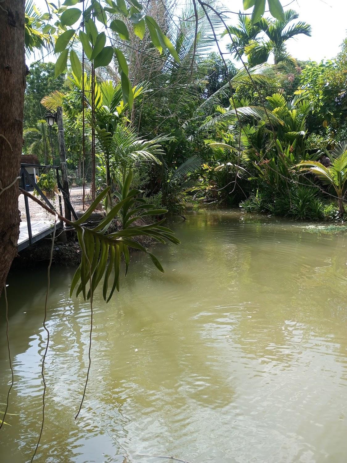 Cover Image for Ban Suan Lung Rin