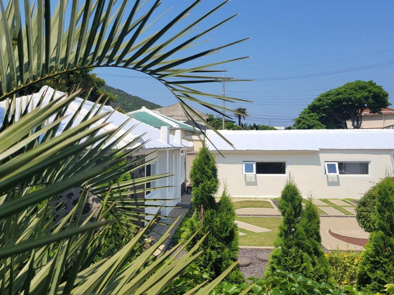 Cover Image for Soofeel House