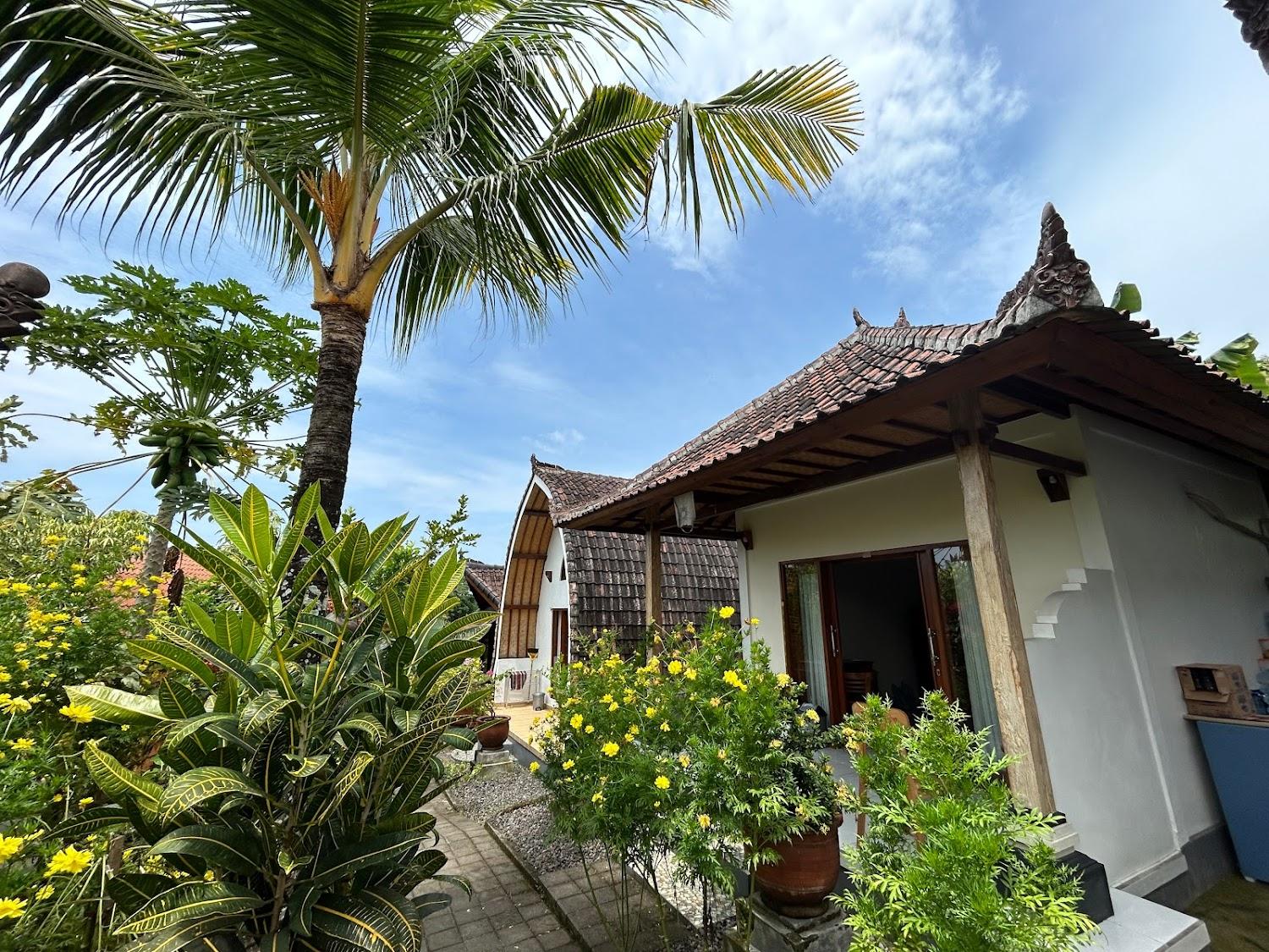 Cover Image for Balian Green Lagoon