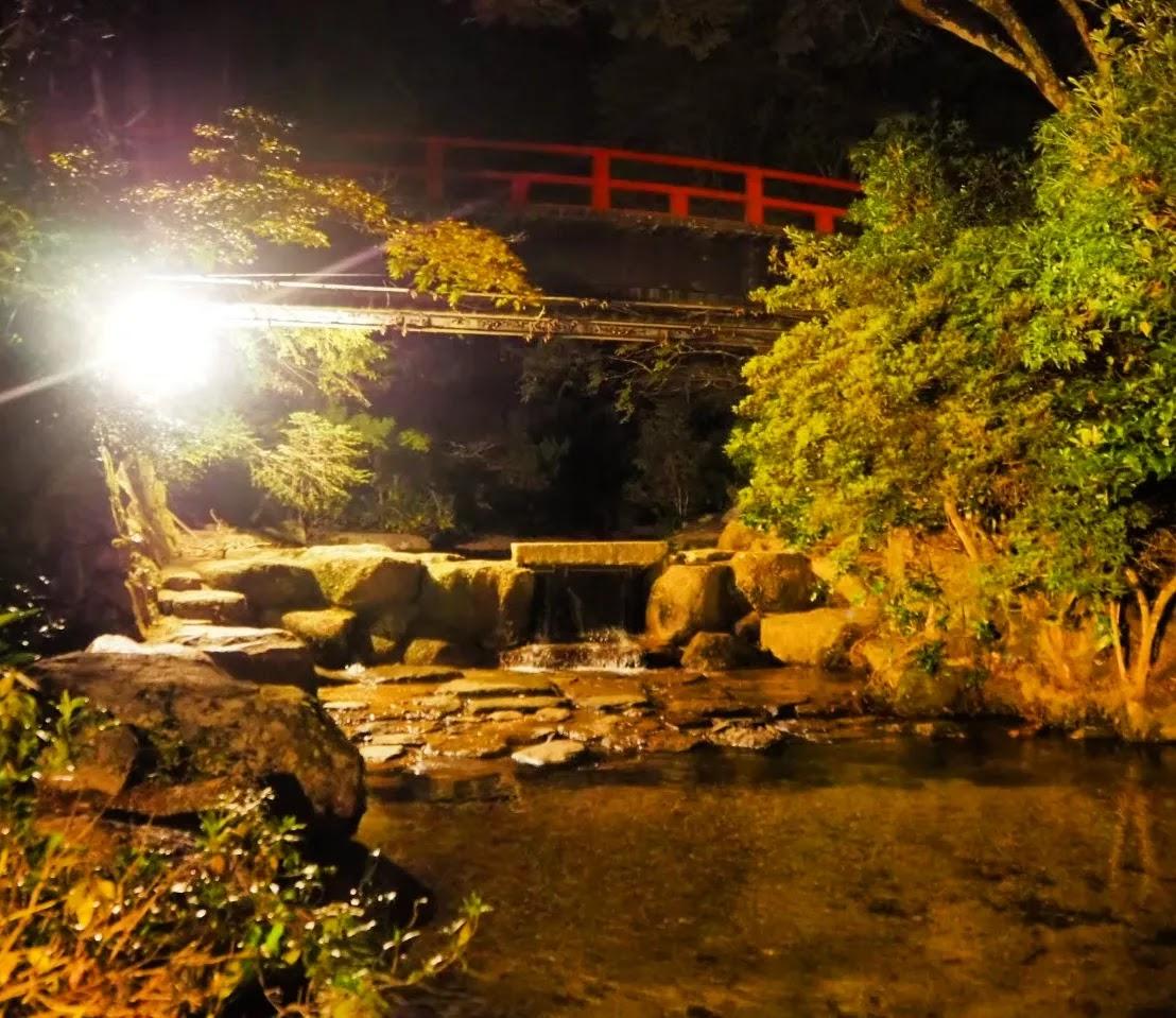 Cover Image for iwaso