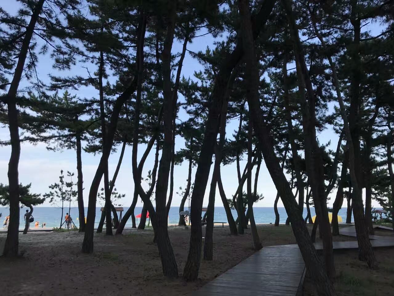 Cover Image for 아모르모텔