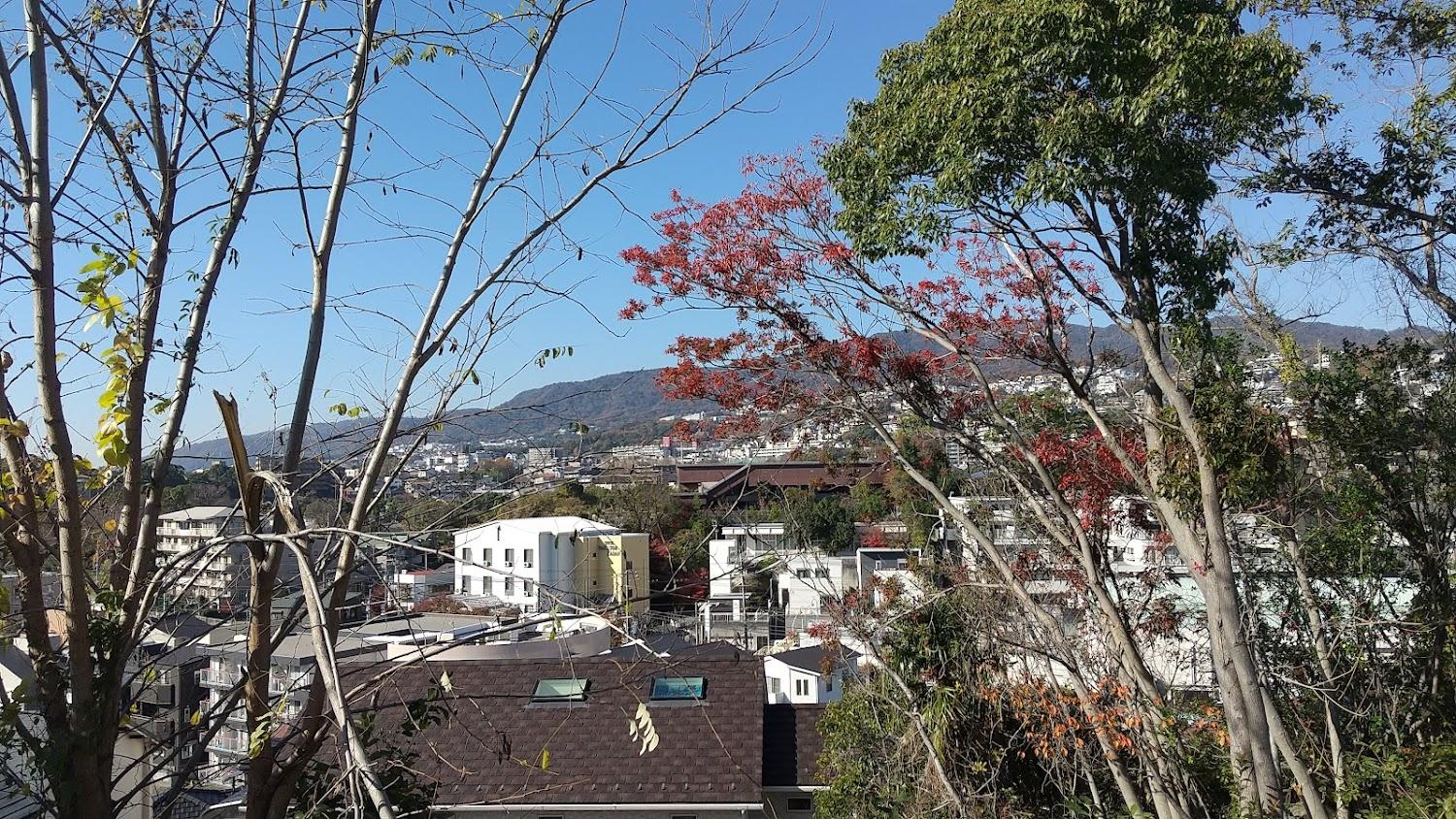Cover Image for Nakasumi Kadan