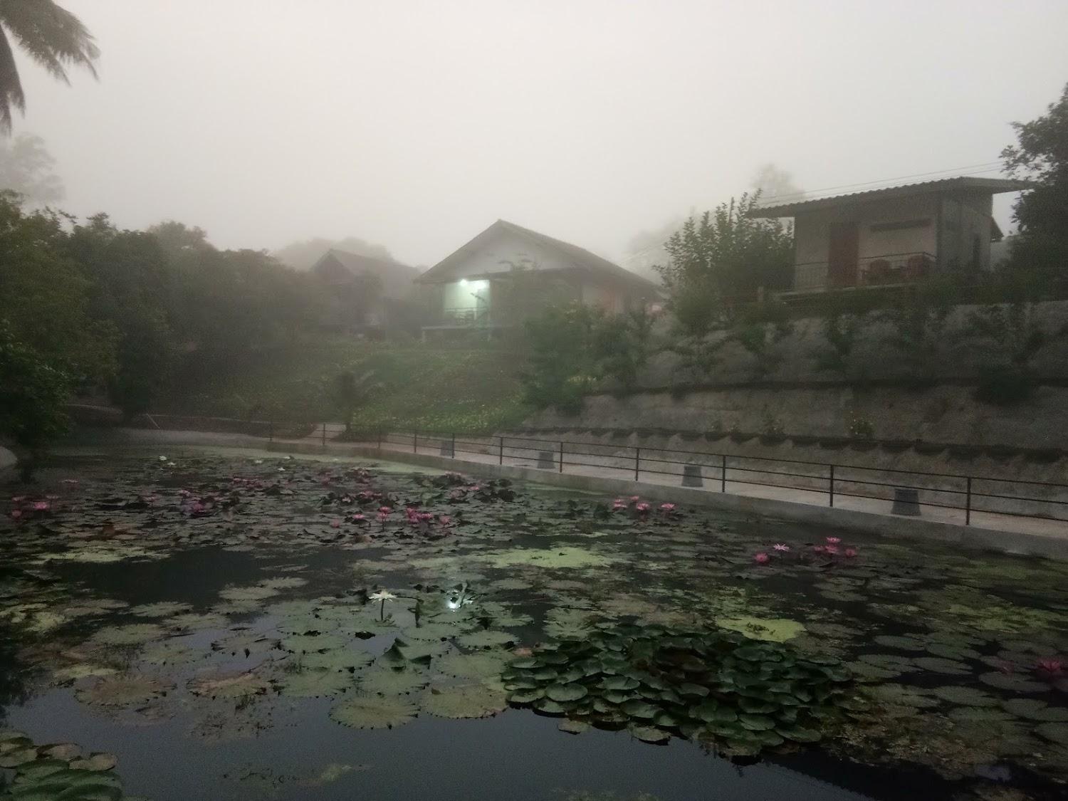 Cover Image for Ban Suan Suk Chai