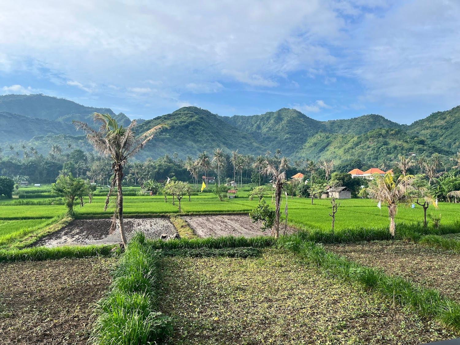 Cover Image for Mesari Home Stay & Warung