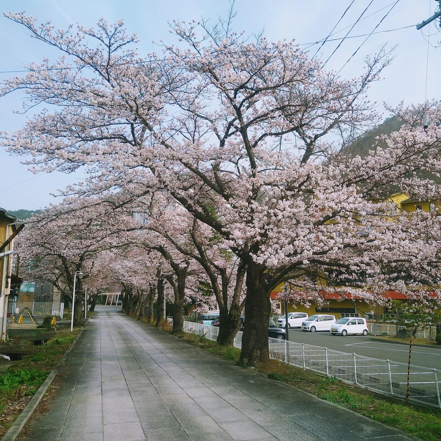 Cover Image for Yuzaemon (Japanese inn)