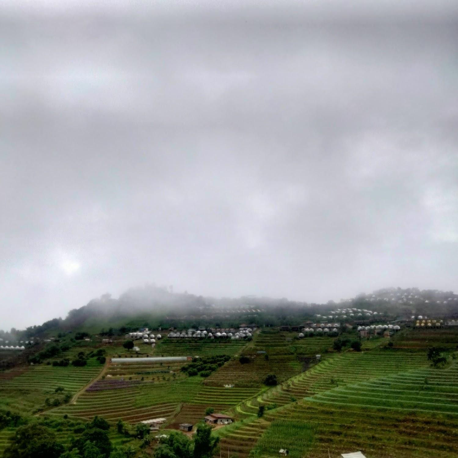 Cover Image for Midha Homestay