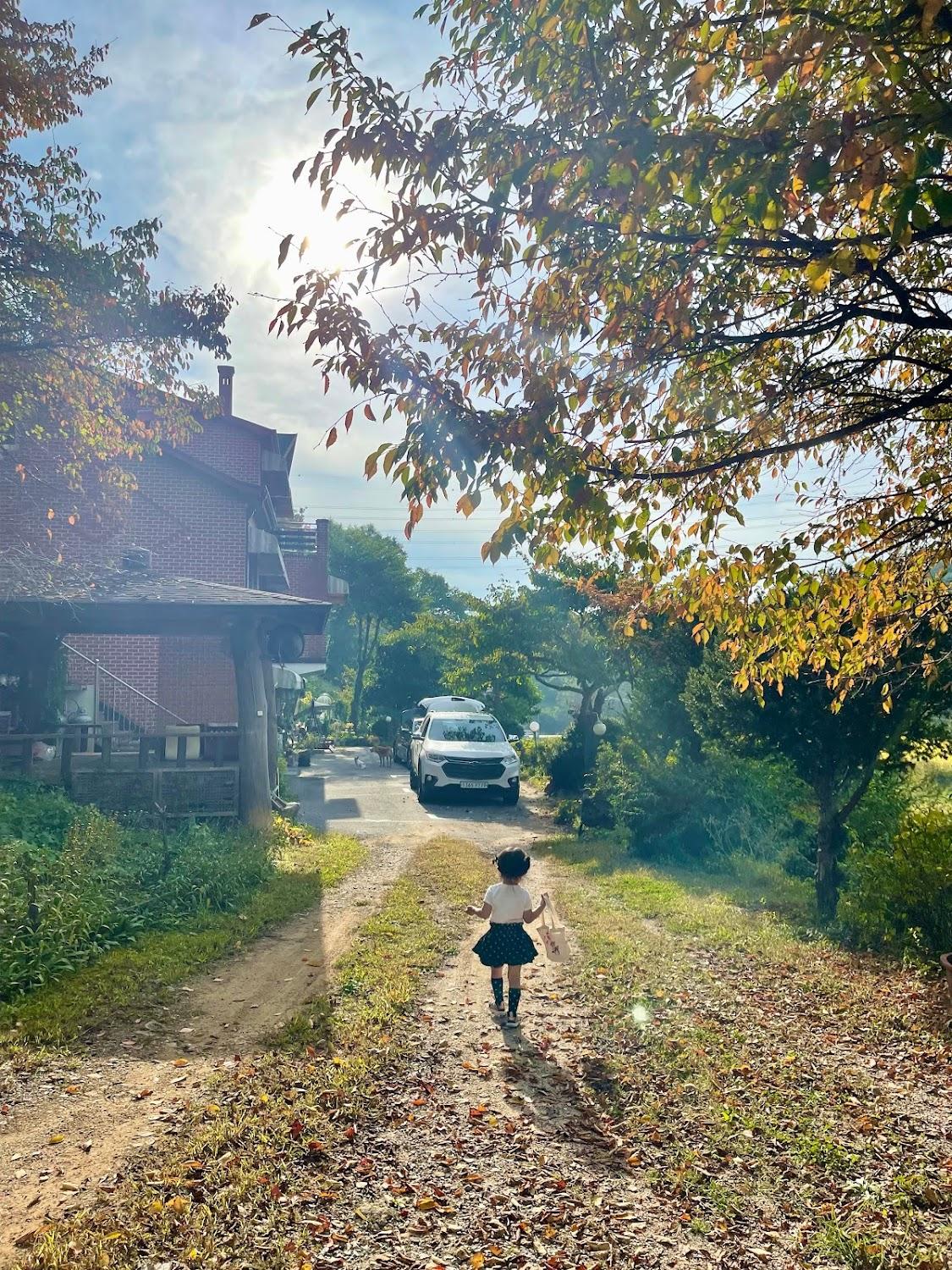 Cover Image for 시냇가 푸른 나무 펜션