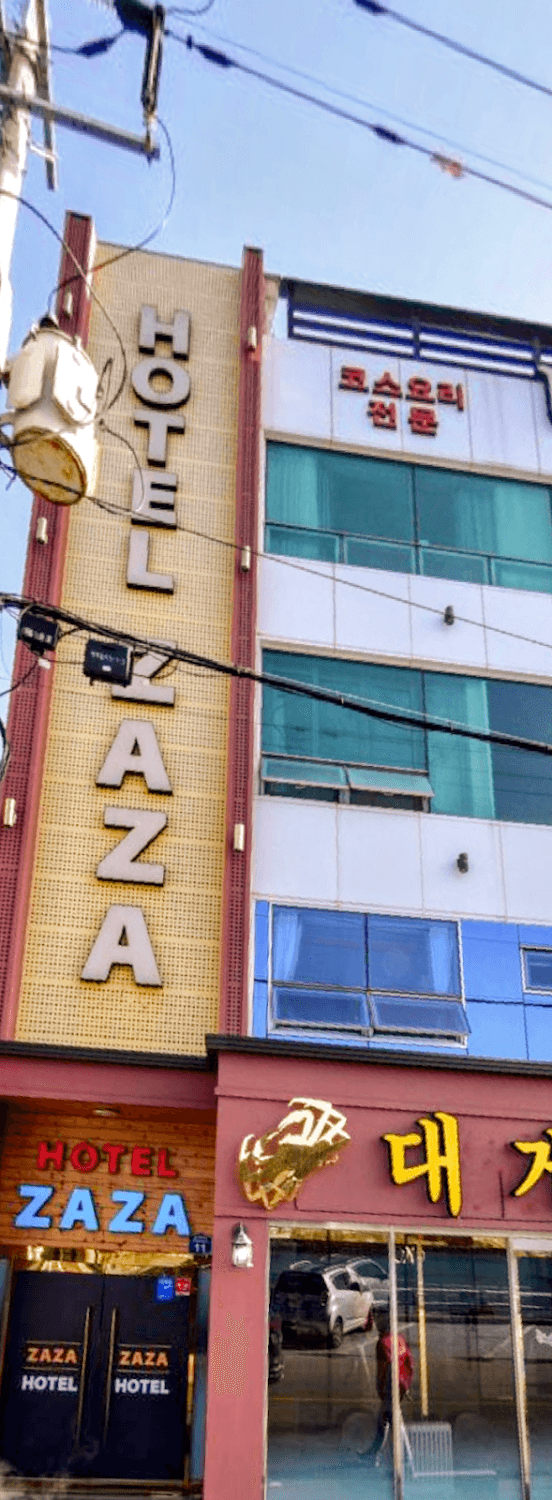 Cover Image for Hotel Zaza