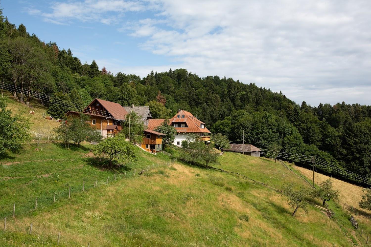 Cover Image for Christian Faller, Grundhof