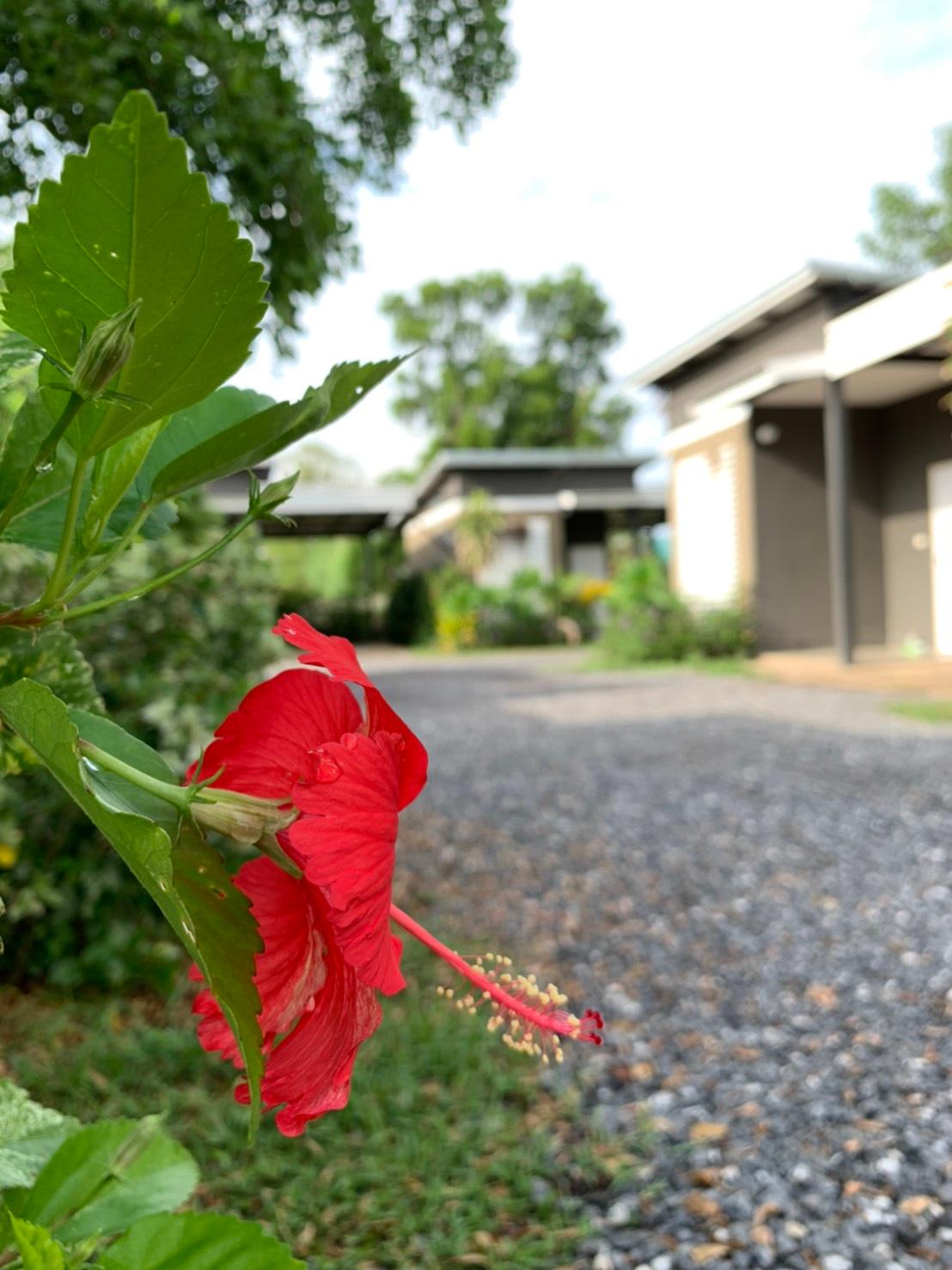Cover Image for ตุ้มโฮมรีสอร์ท Toomhome Resort Udonthani