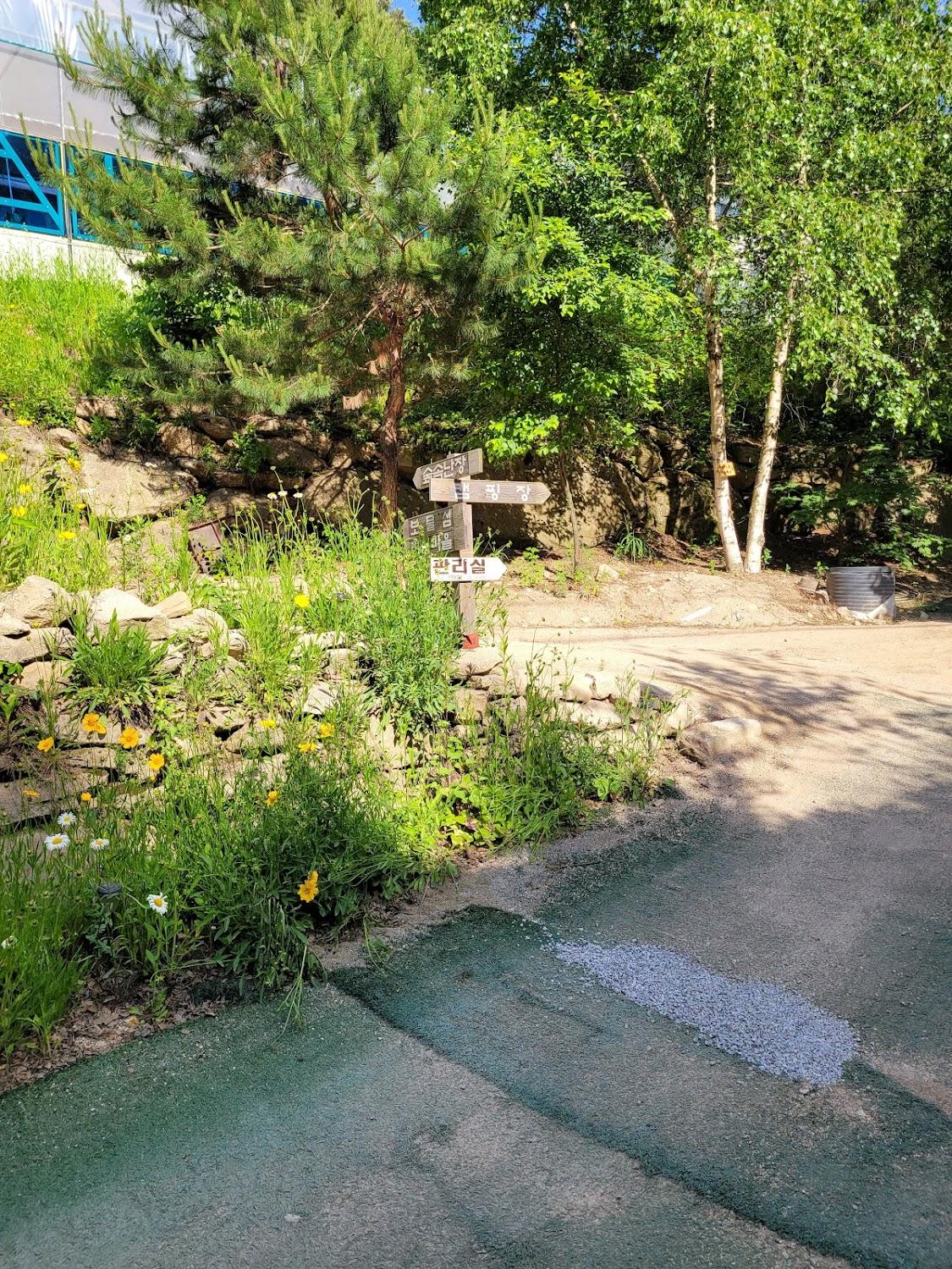 Cover Image for 자일랜드
