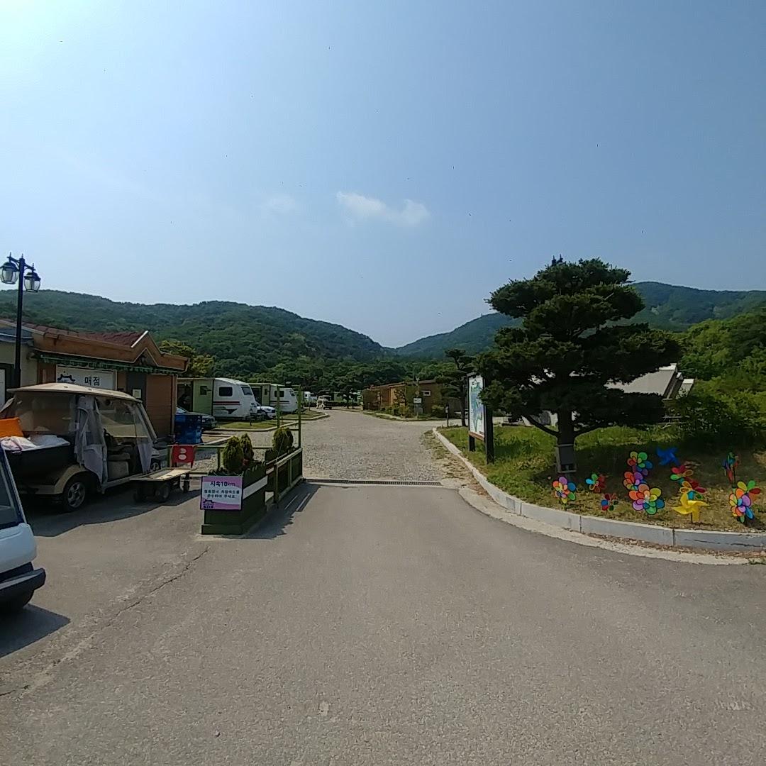 Cover Image for 용인대장금파크캠핑장
