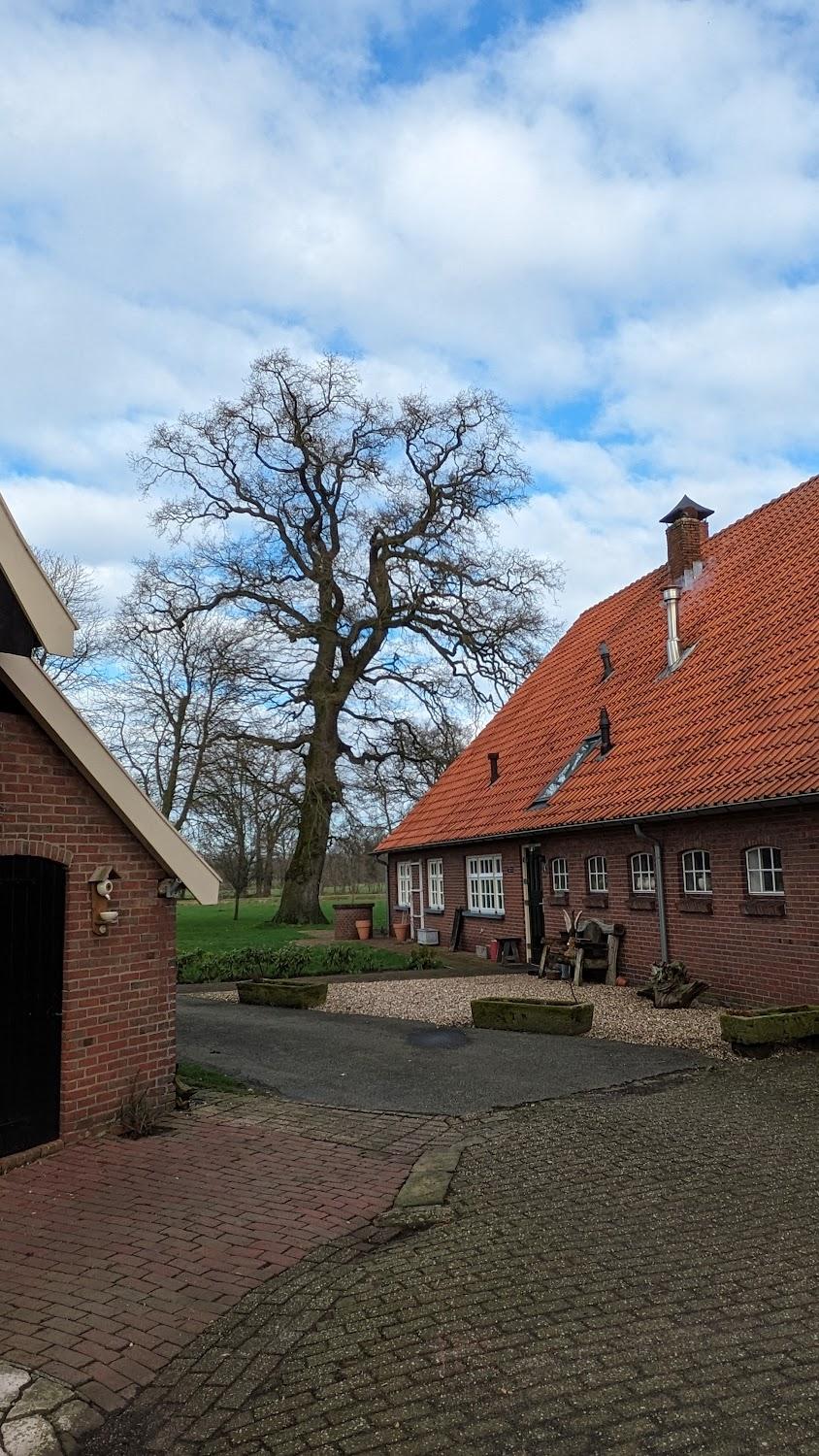 Cover Image for B&B Erve Meestersplaatsje