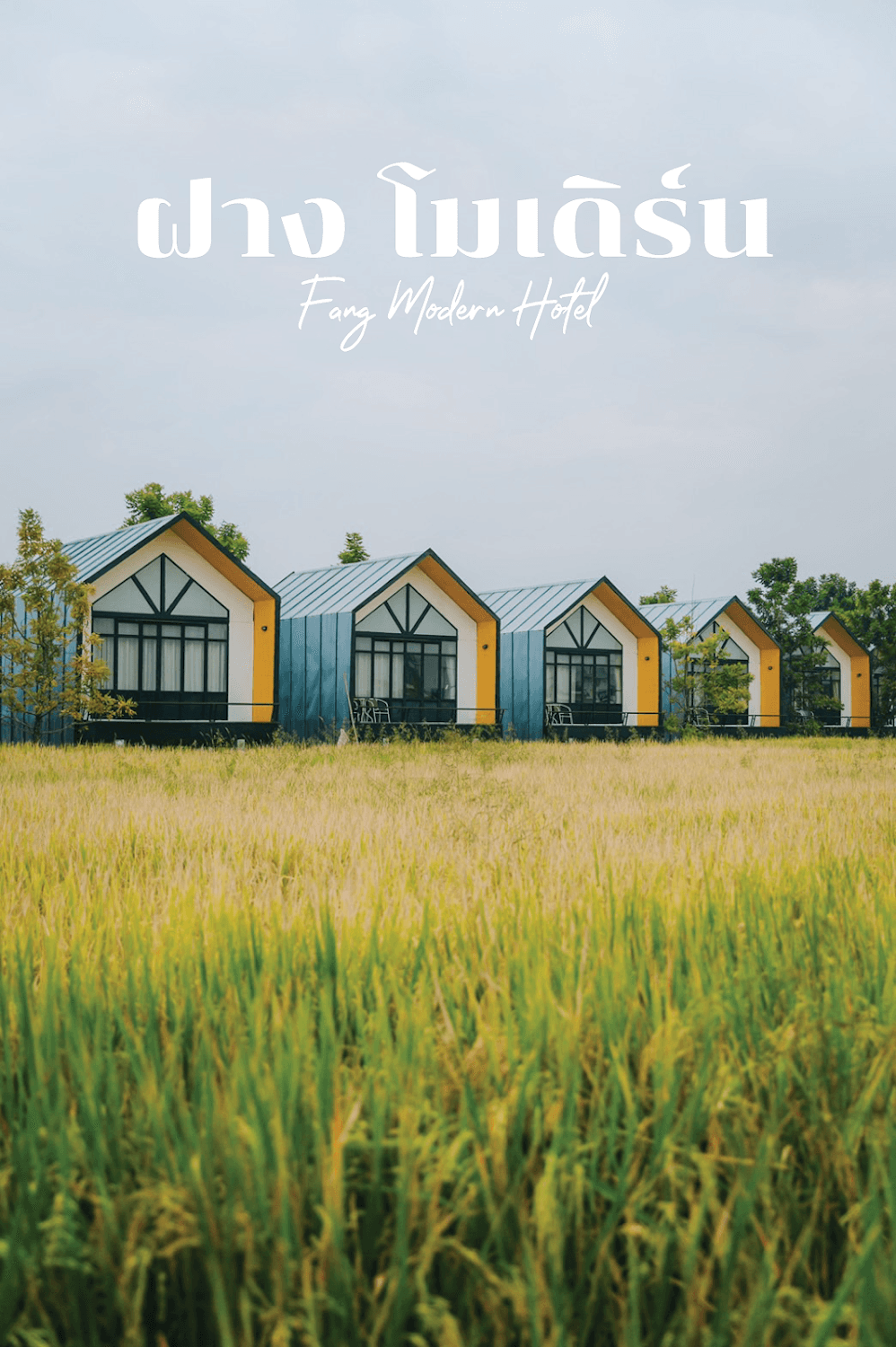 Cover Image for Fang Modern Hotel