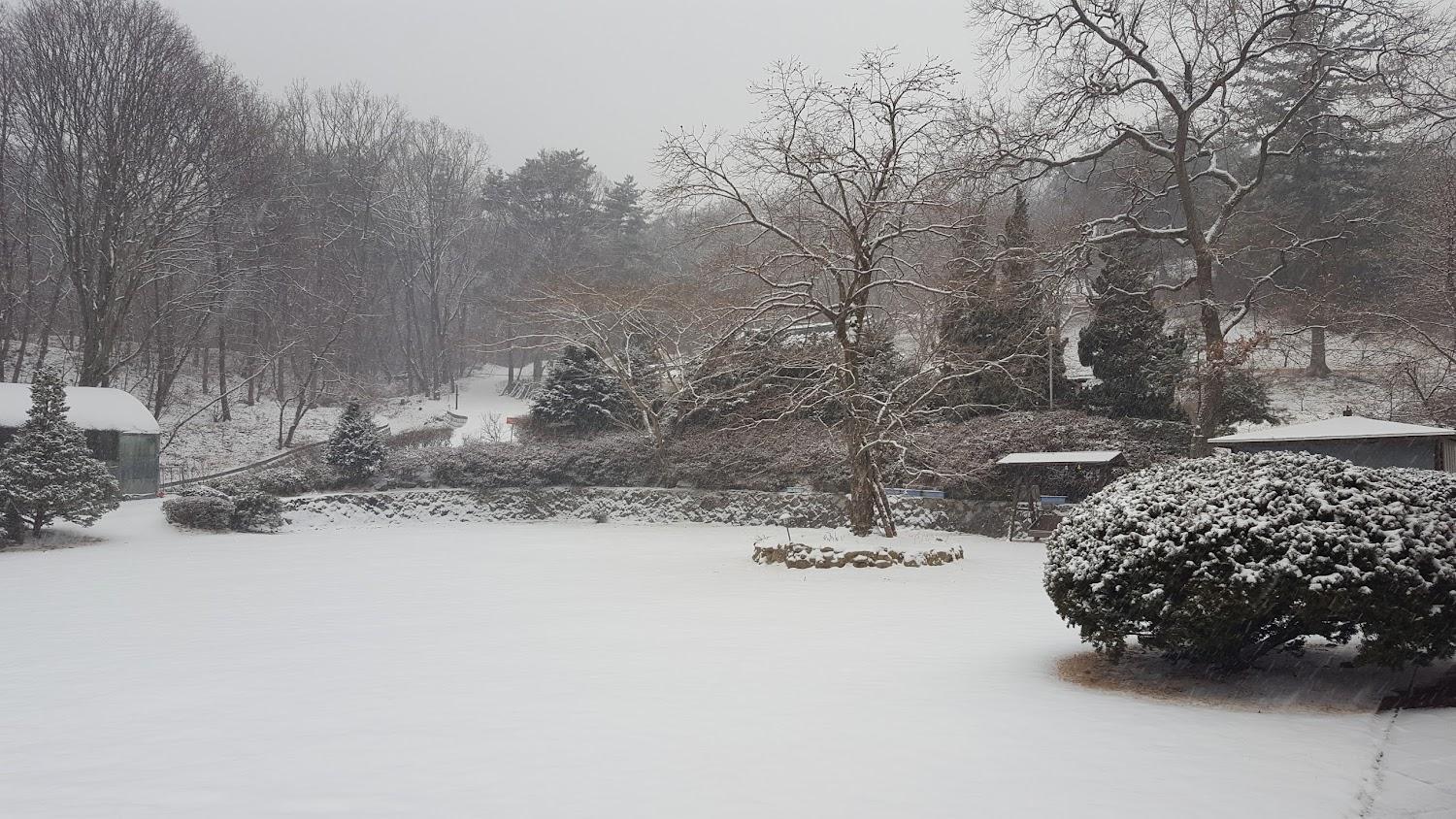 Cover Image for 장보고한옥펜션