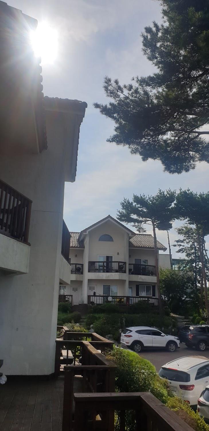 Cover Image for 경주 지중해펜션