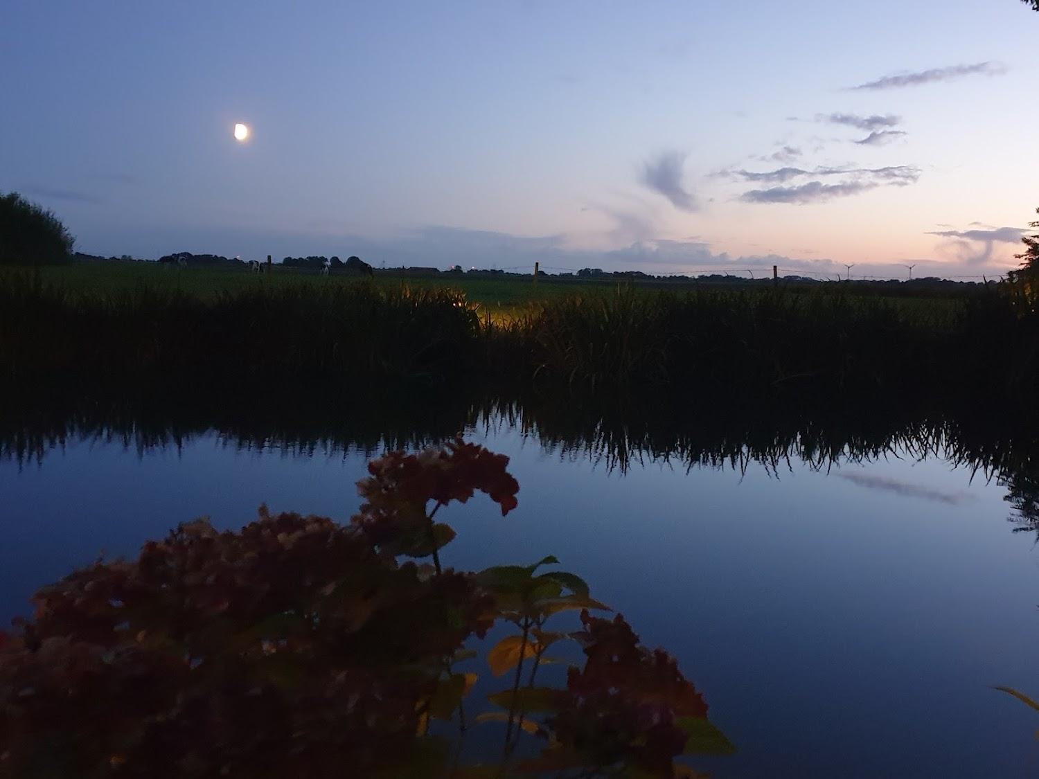 Cover Image for Pension Landart