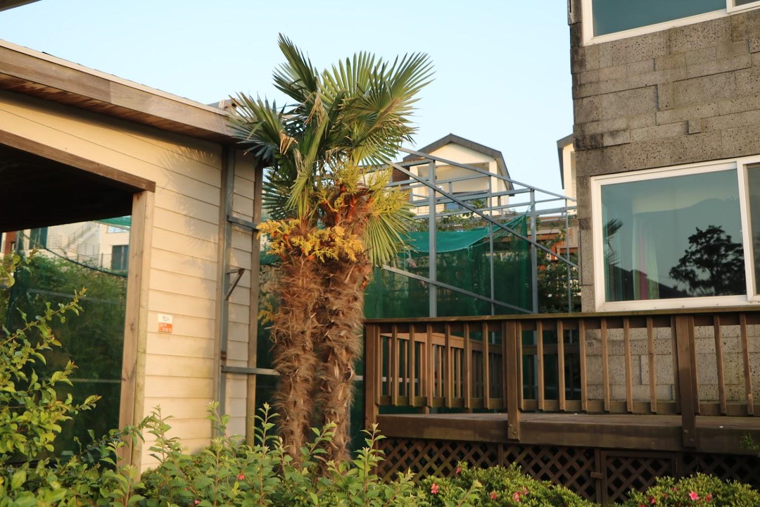 Cover Image for 올레해오름펜션