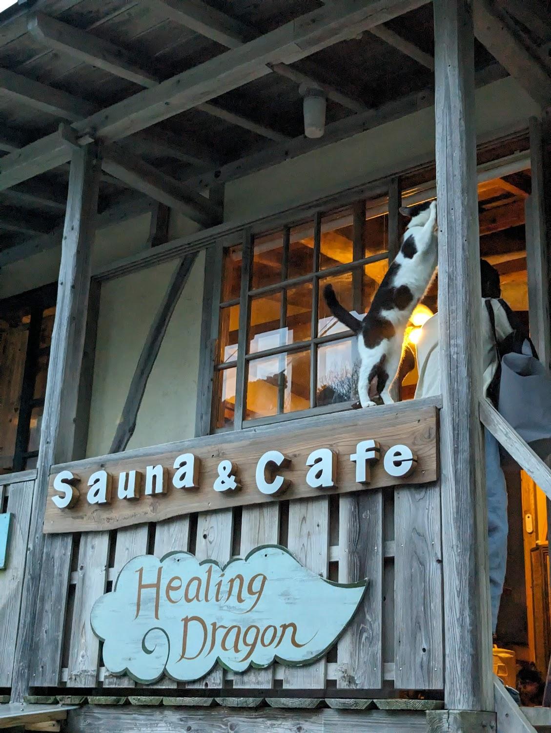 Cover Image for Healing Dragon