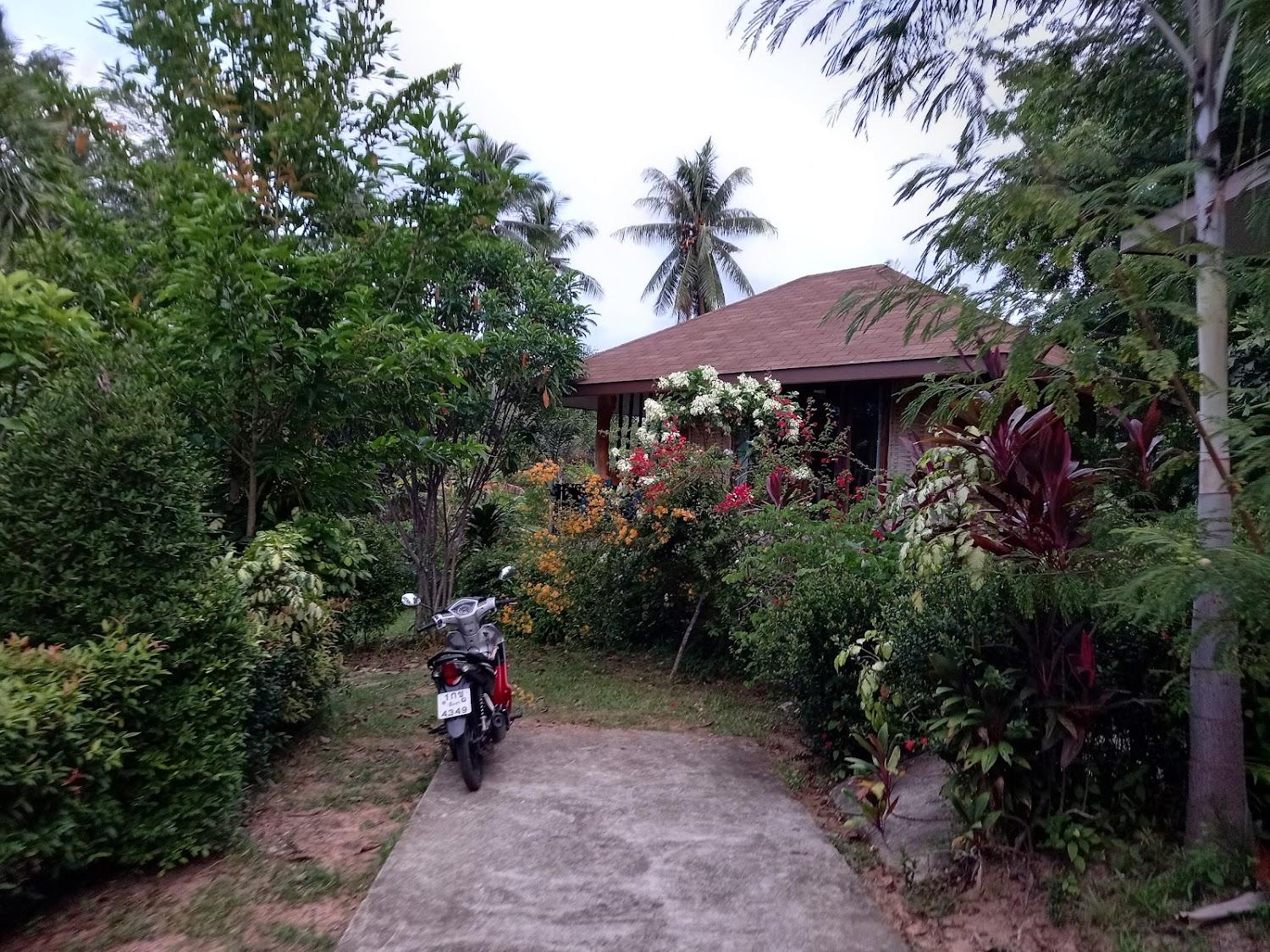 Cover Image for The mantra resort