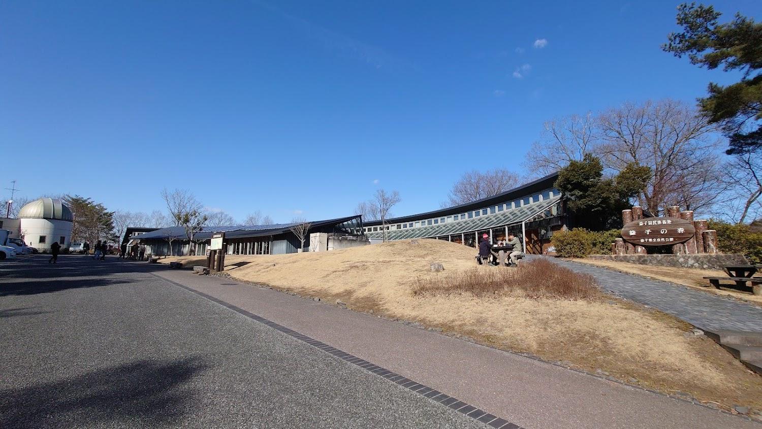 Cover Image for Forest Inn Mashiko