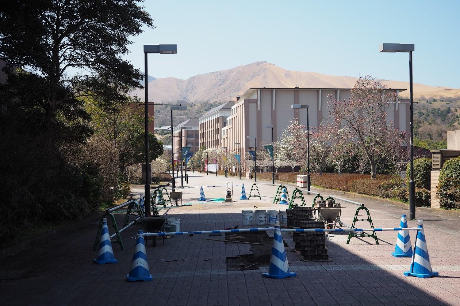 Cover Image for Cocolie BEPPU