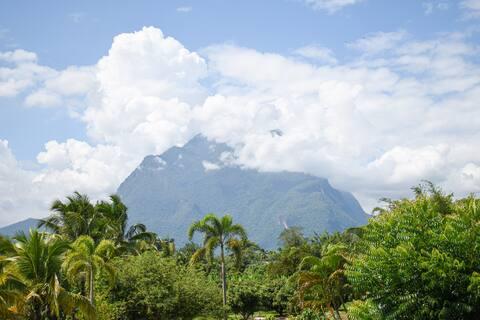 Cover Image for Wichouda Homestay & Cottage