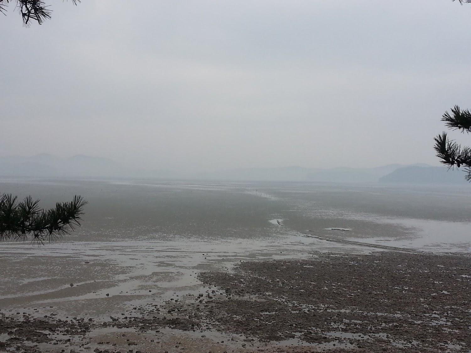 Cover Image for 갯벌부흥펜션