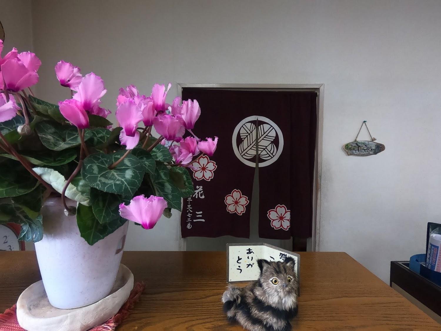 Cover Image for Hanasan Ryokan