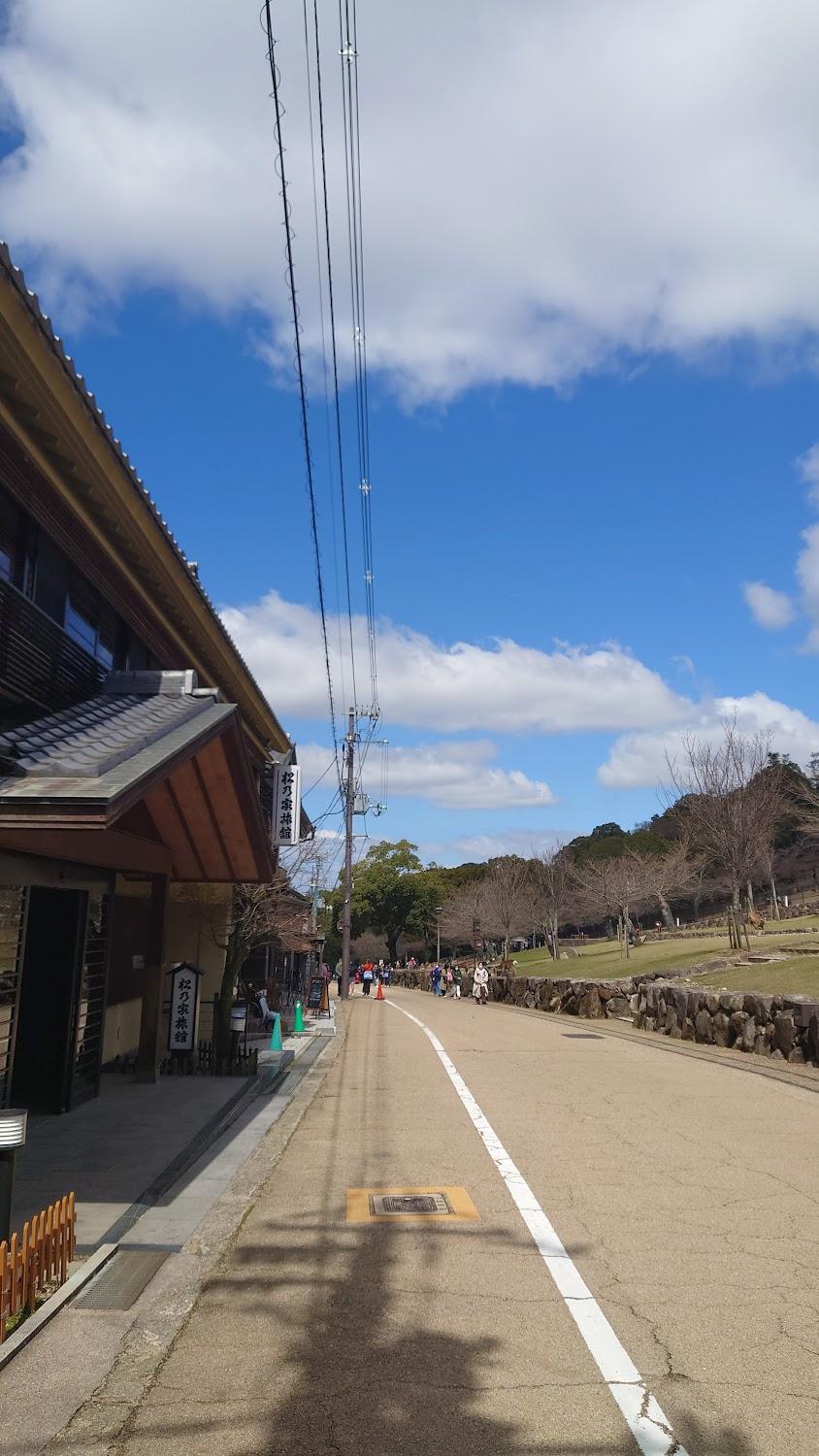 Cover Image for Matsunoya-ryokan