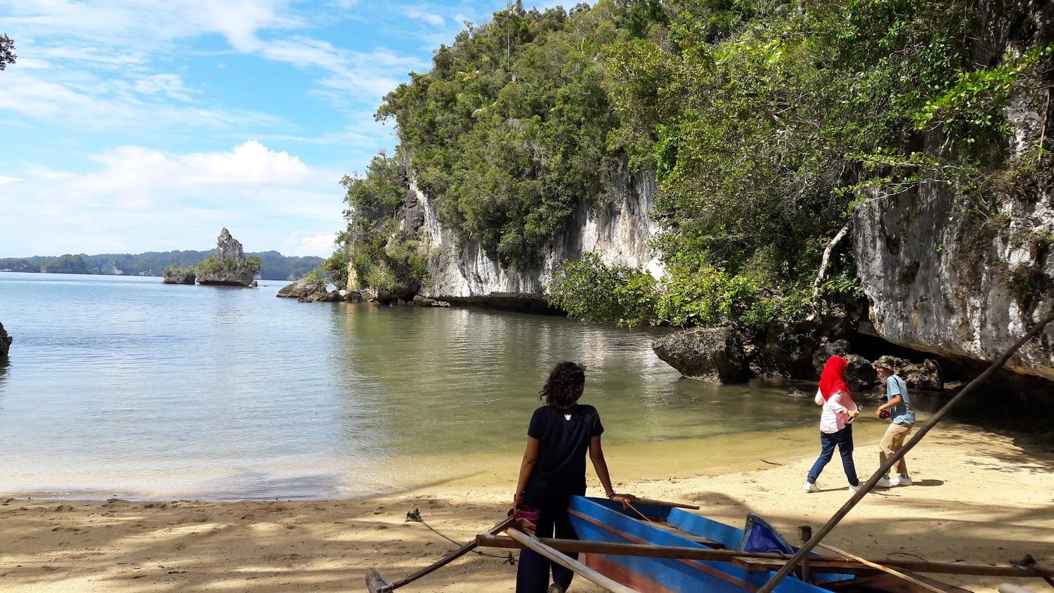 Cover Image for Hamueco Raja Ampat Dive Resort