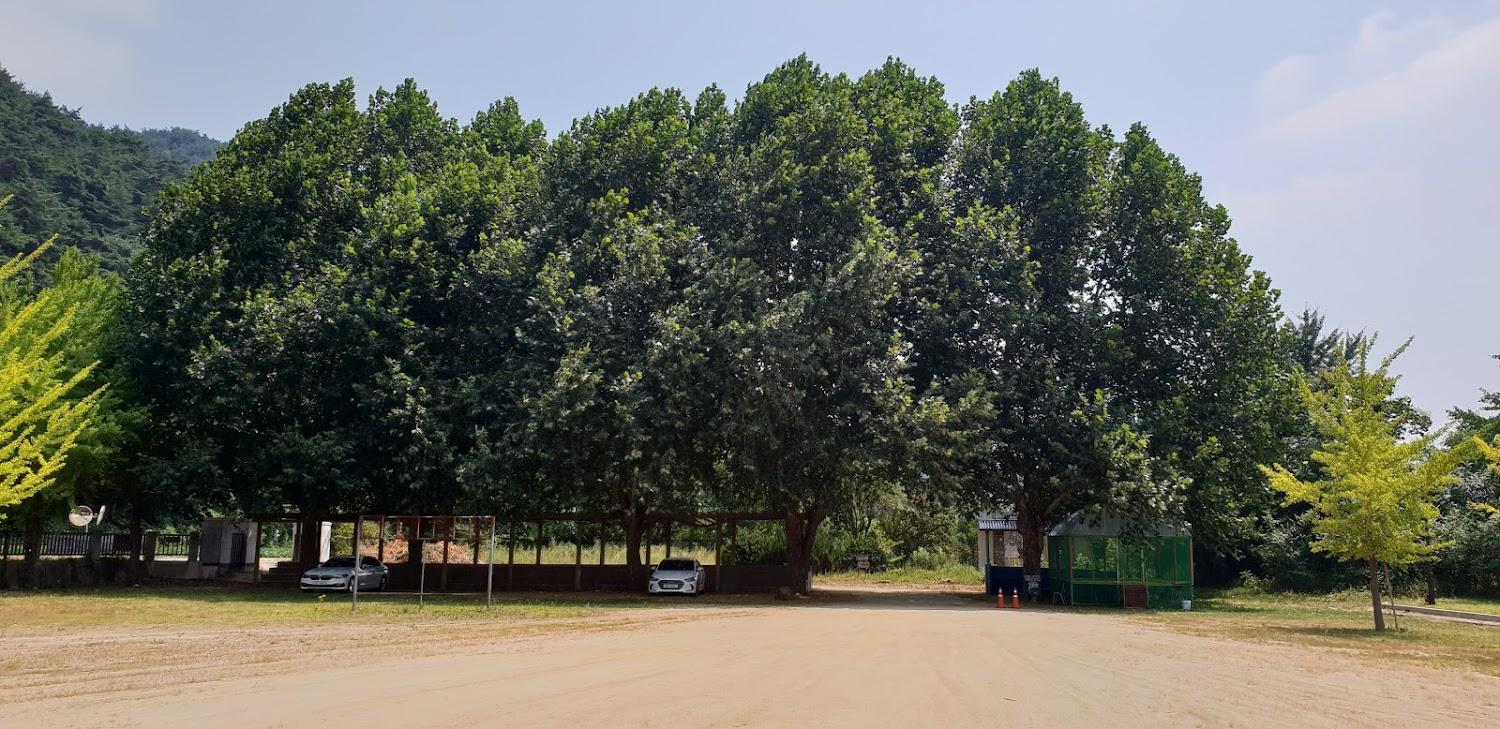 Cover Image for 룰루랄라체험학교