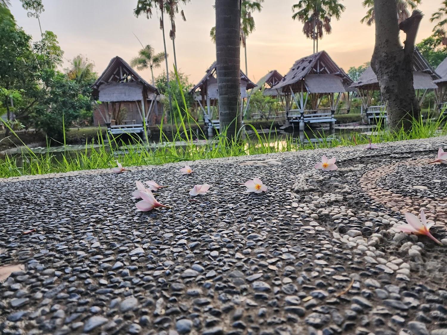 Cover Image for BATURITI COTTAGE