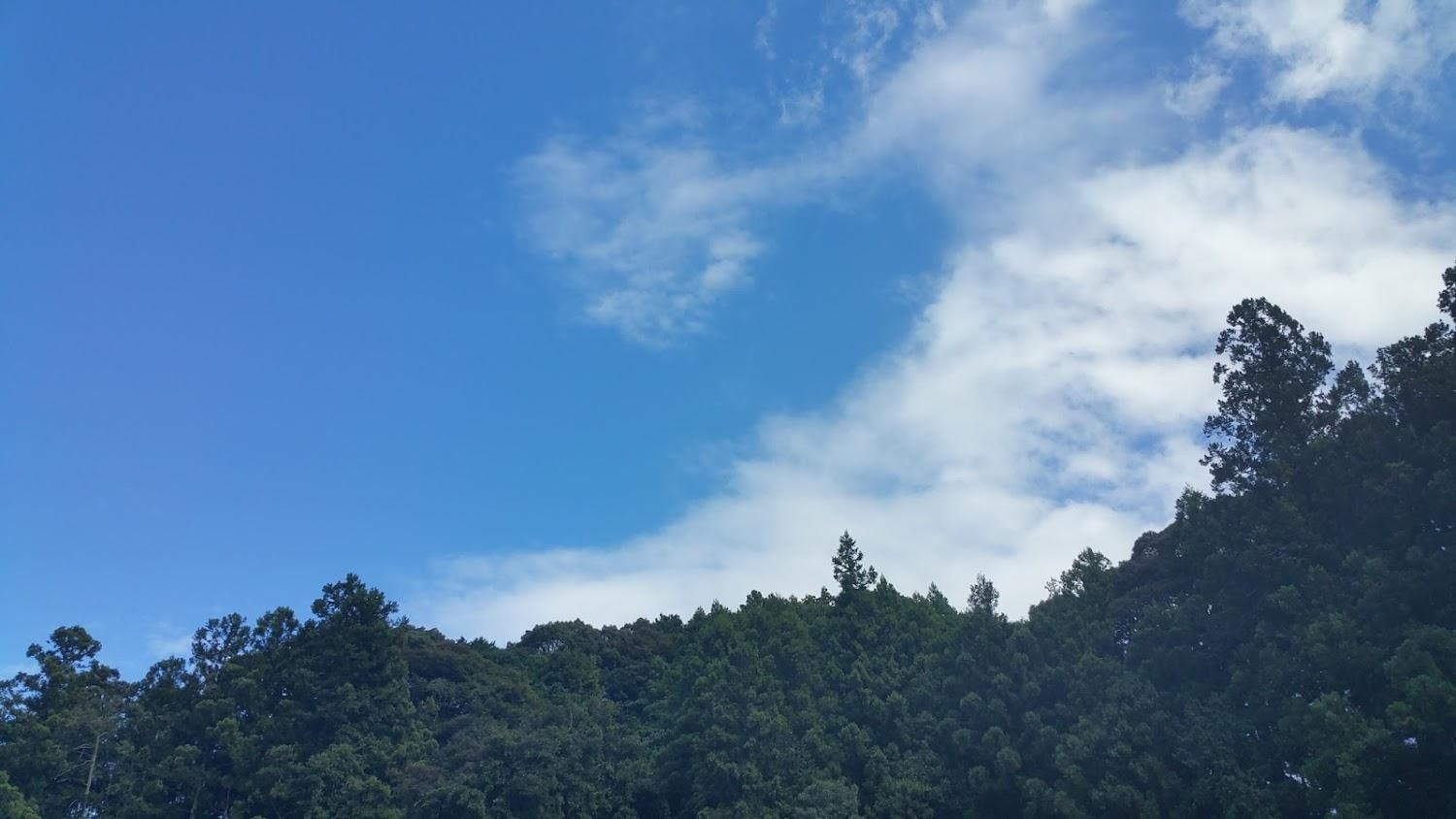 Cover Image for 石神の里キャンプ場