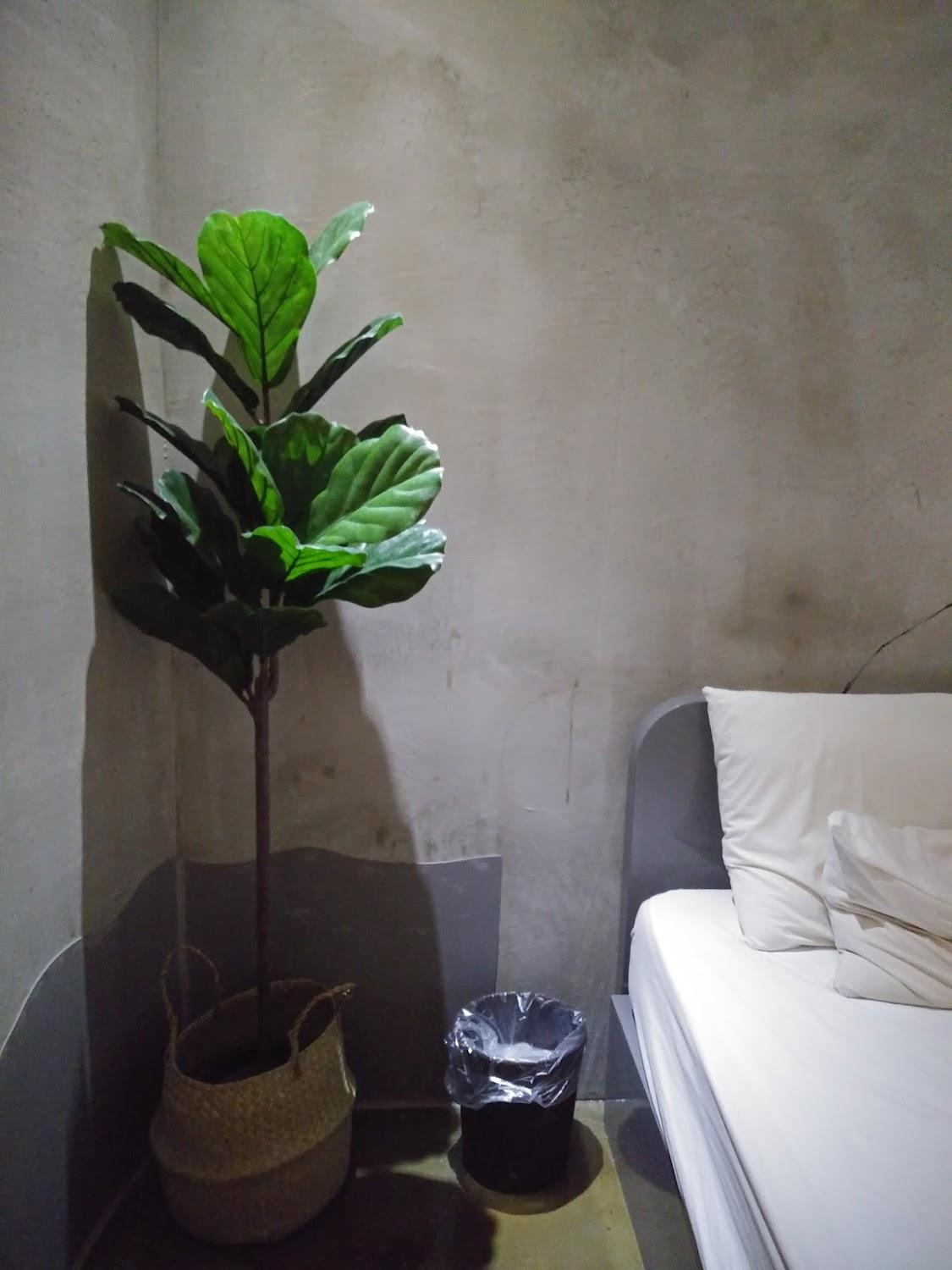 Cover Image for Hotel Star