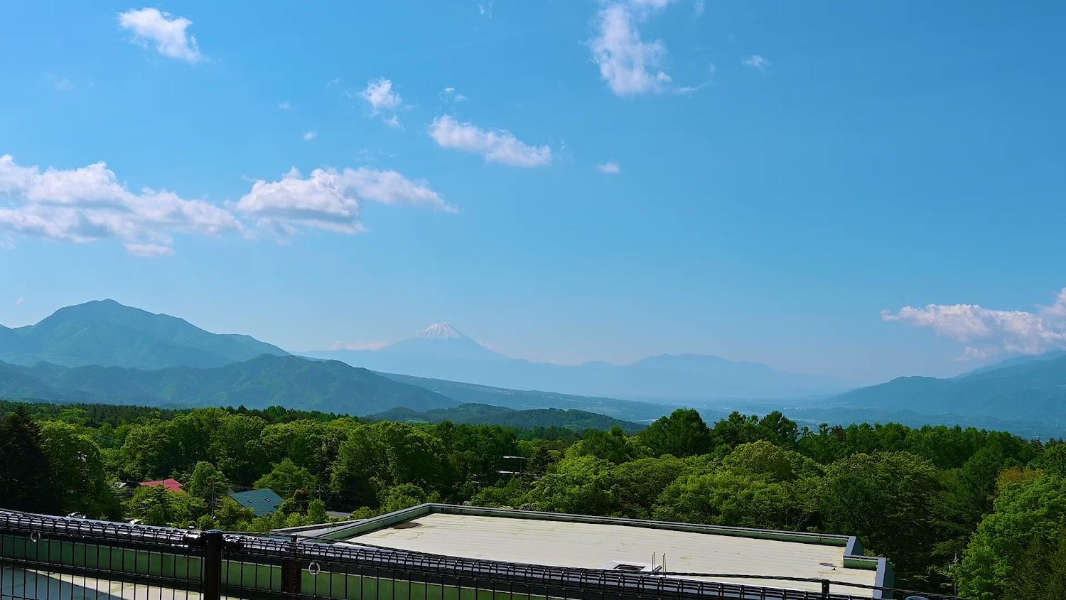 Cover Image for Grand Mercure Yatsugatake Resort & Spa
