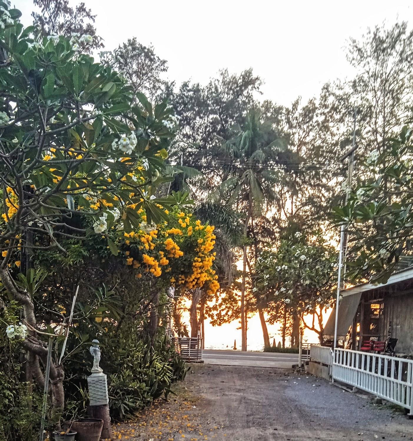 Cover Image for THE BAY (MAE RUMPHUENG BEACH)