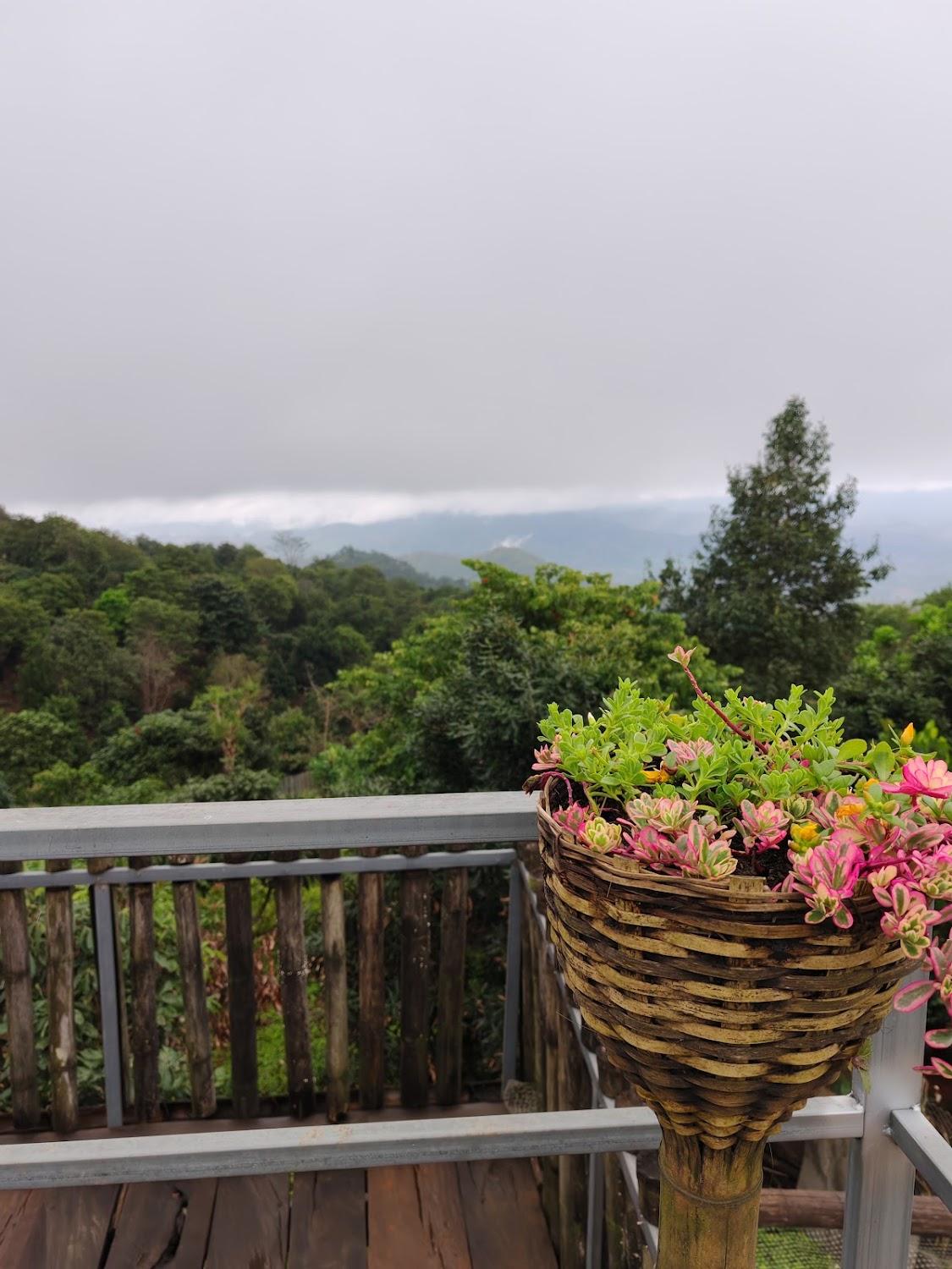 Cover Image for Forest Homestay
