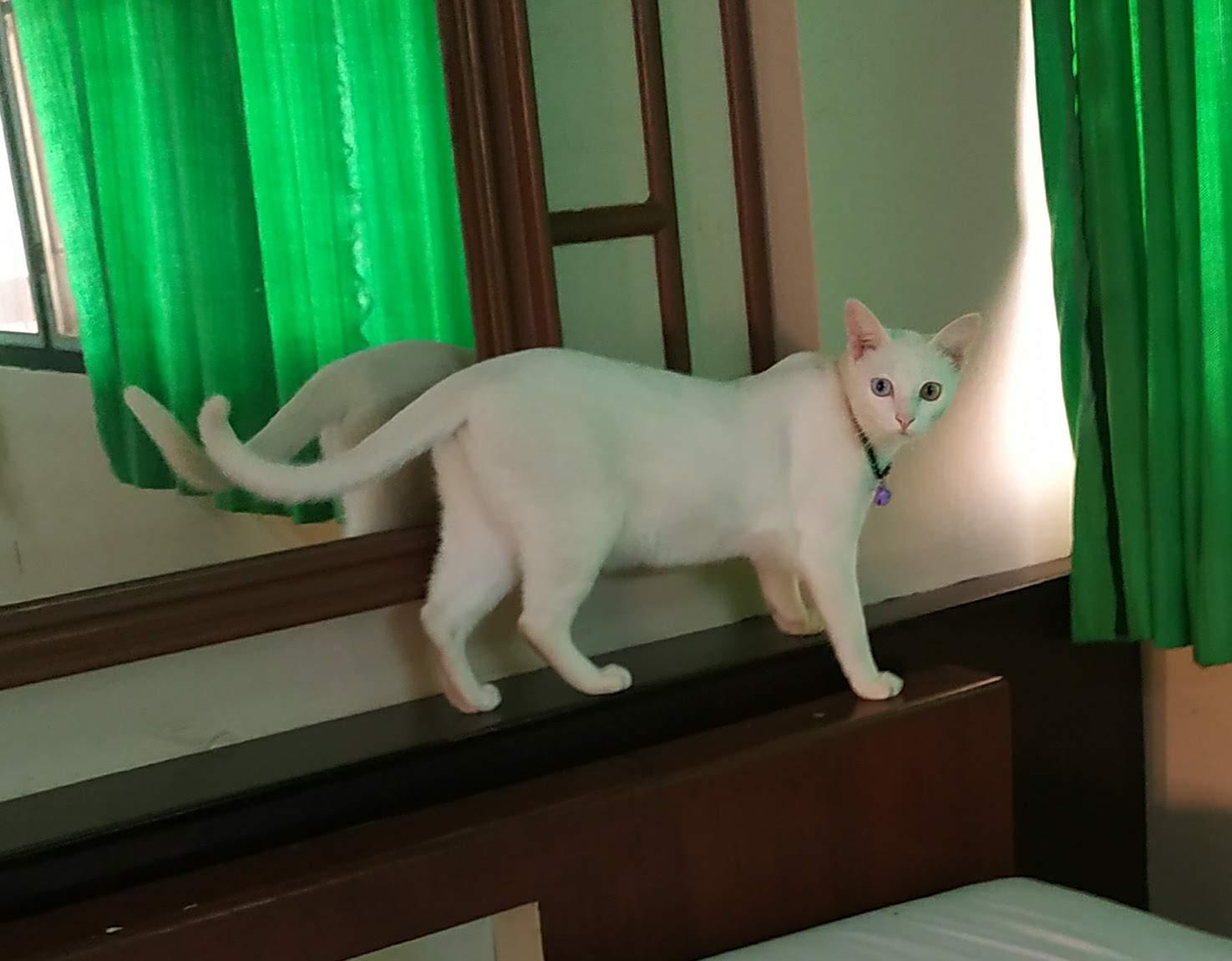 Cover Image for Kasemsuk Hotel